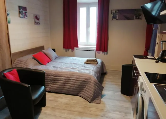 Joli Studio Dans Un Ancien Hotel Du XIX Siecle - Proche Toutes Commodites - Thermes Et Parc