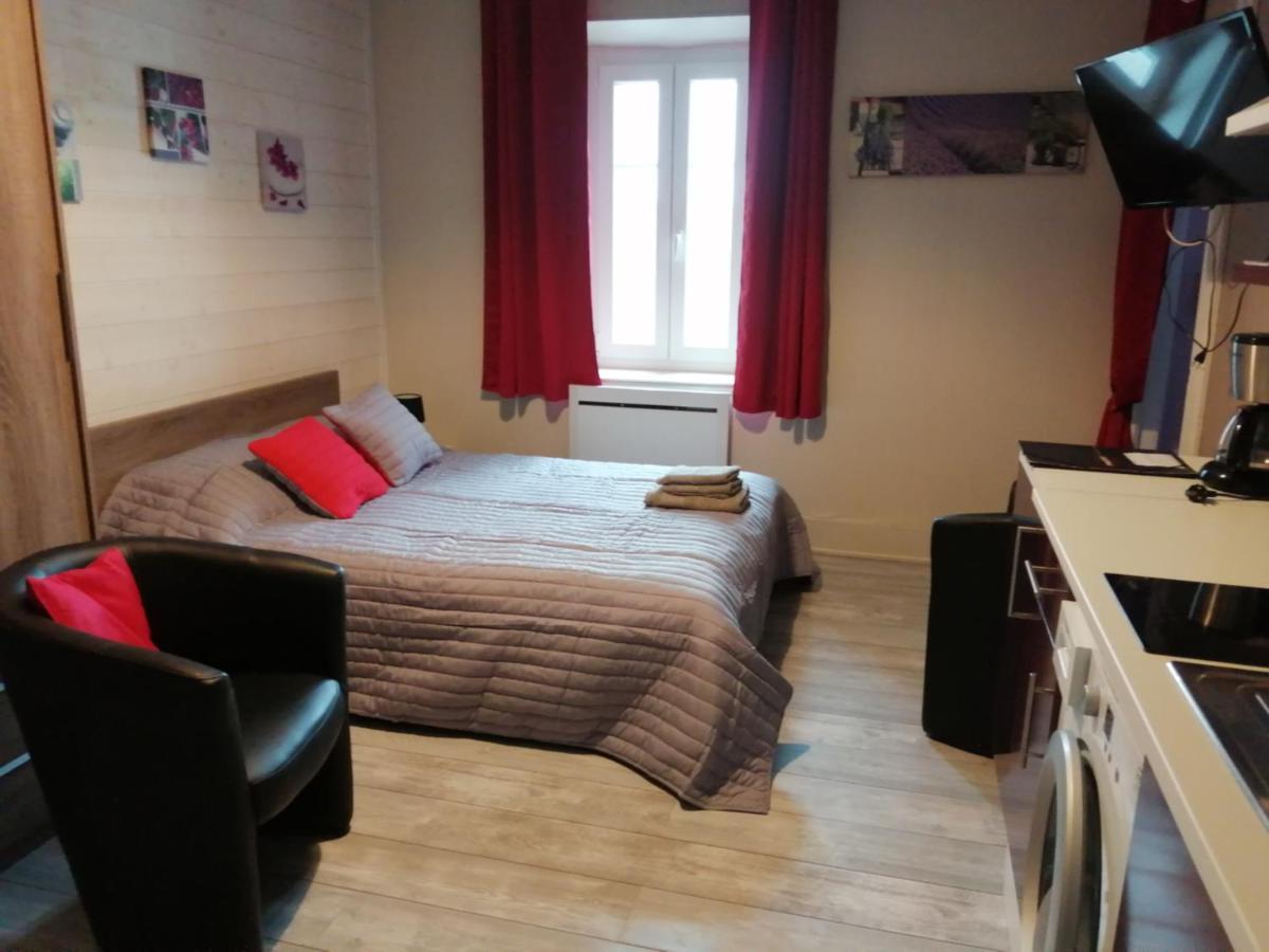 Joli Dans Un Ancien Du Xix Siecle - Proche Toutes Commodites - Thermes Et Parc Apartment Vittel